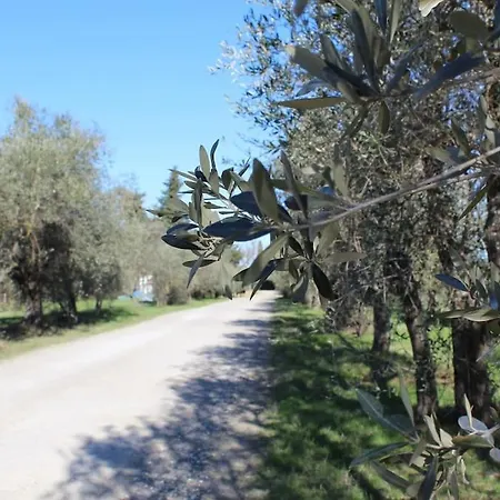 شقة Chianti Un Oasi Di Tranquillita